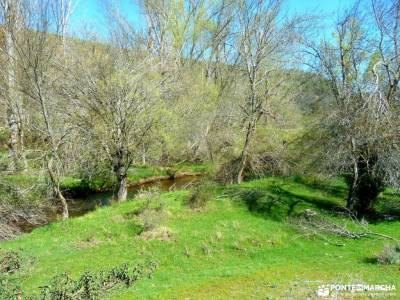 Río Cega,Santa Águeda–Pedraza; puente noviembre maestrazgo teruel senderos de extremadura castil